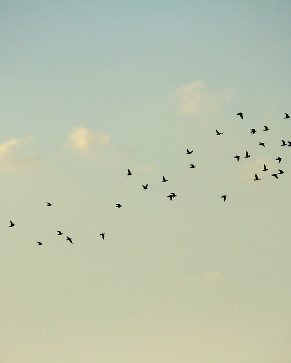 How to Support Your Mental Health at Work