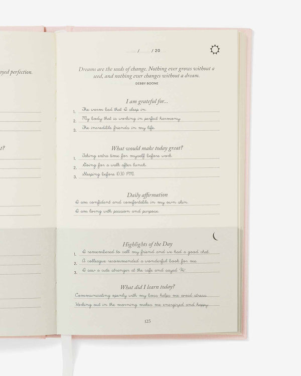 Goal Setting Gratitude Bundle - Blush Pink