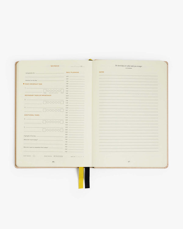 The Intelligent Change Duo - Beige Sunshine Yellow